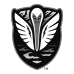 Tormenta FC